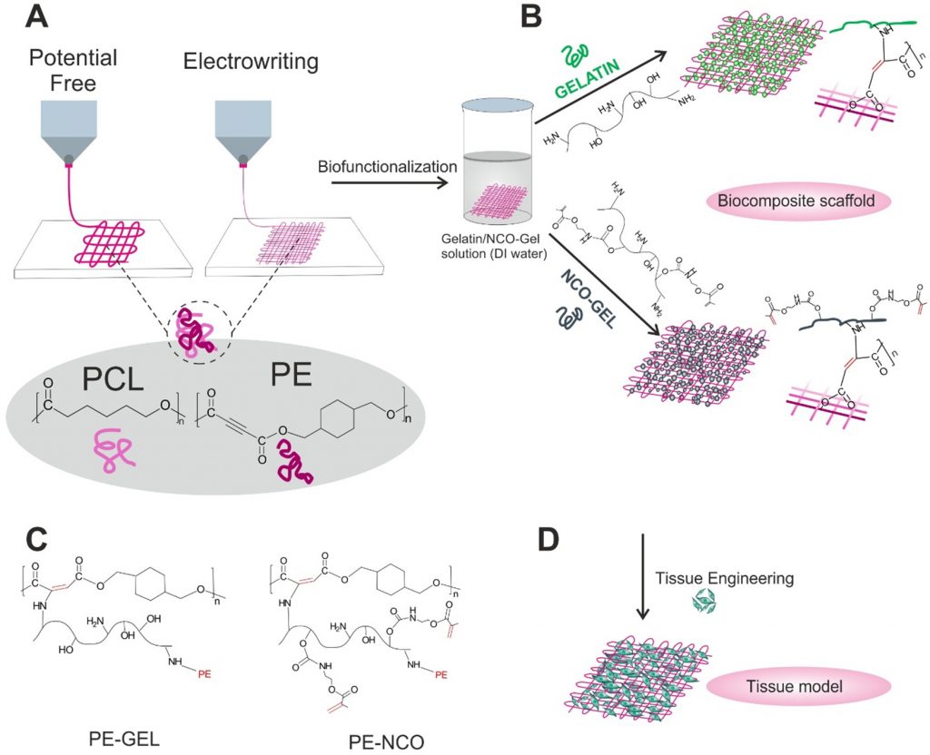 1-s2.0-S0141813024017434-sc1_lrg