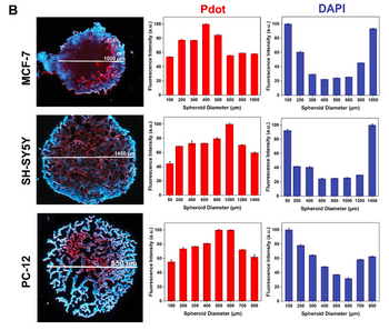Screen Shot 2025-05-27 at 14.13.05